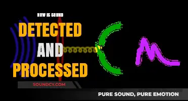 Unveiling the Science: How Sound Detection and Processing Work