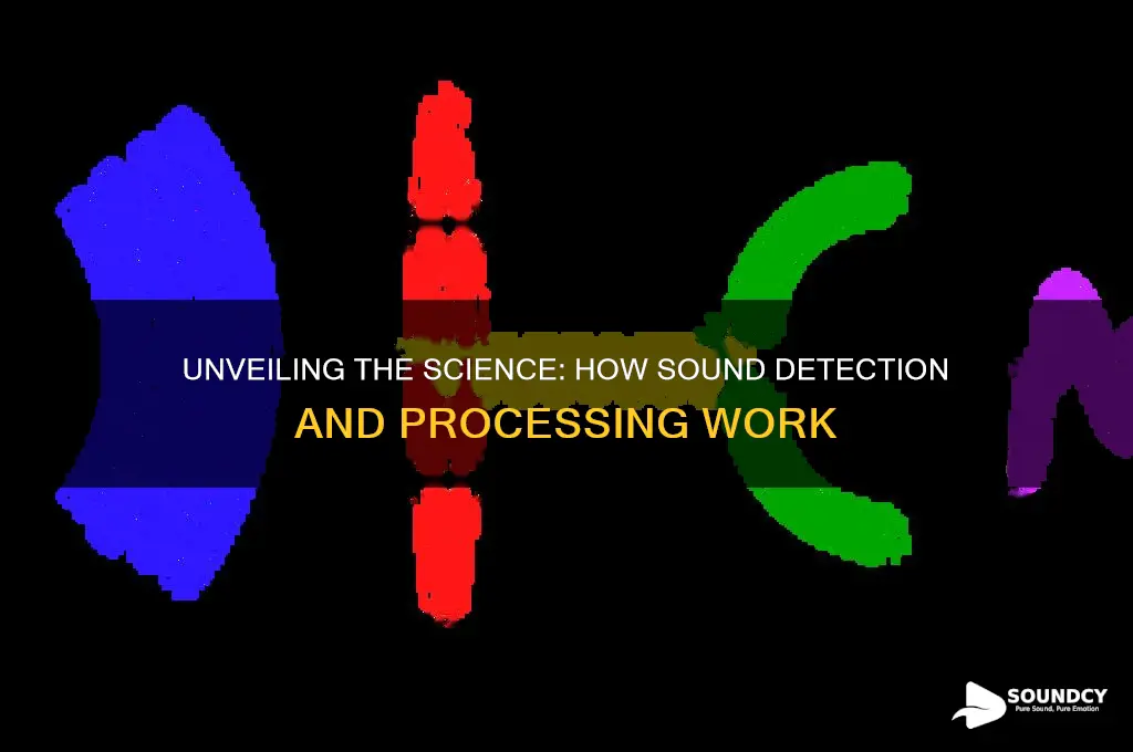 how is sound detected and processed