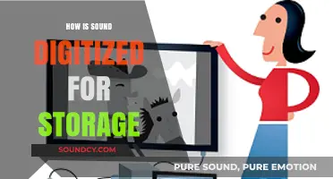 Digitizing Sound: The Process of Converting Audio for Digital Storage