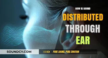 How Sound Waves Travel Through the Ear: A Comprehensive Guide