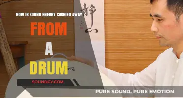 How Drum Vibrations Travel: The Science of Sound Energy Dispersion
