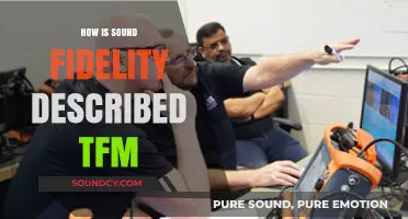 Understanding Sound Fidelity: Key Descriptions and TFM Insights Revealed
