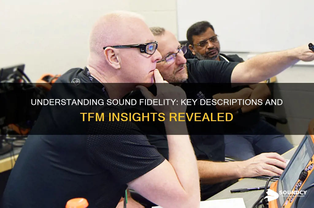 how is sound fidelity described tfm