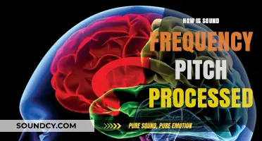 Unraveling the Brain's Processing of Sound Frequency and Pitch Perception