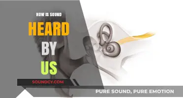 Unraveling the Science: How Our Ears Capture and Process Sound
