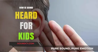 How Do Our Ears Hear Sounds? A Kid-Friendly Guide