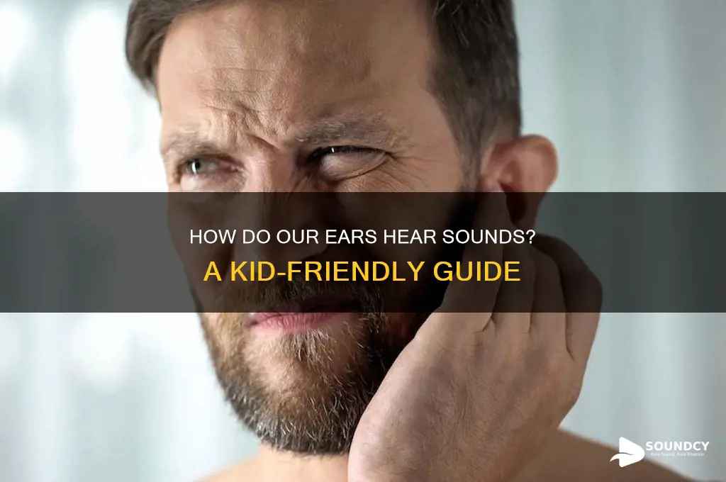 how is sound heard for kids