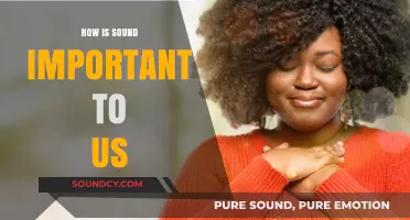 The Vital Role of Sound in Our Daily Lives and Well-Being