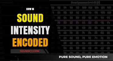 Decoding Sound Intensity: Understanding Encoding Techniques and Measurement Methods