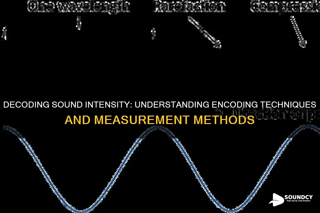how is sound intensity encoded