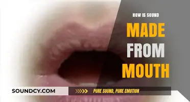 How the Mouth Creates Sound: A Simple Guide to Speech Production