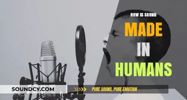 Understanding Human Sound Production: The Science Behind Voice Creation