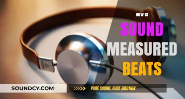 Understanding Sound Measurement: How Beats Are Quantified and Analyzed