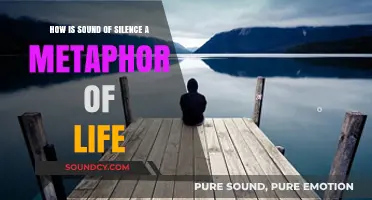 The Sound of Silence: Life's Unspoken Metaphor of Solitude and Reflection