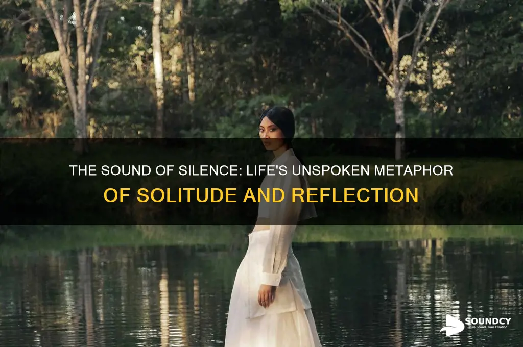 how is sound of silence a metaphor of life