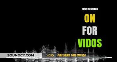 Enhancing Video Engagement: The Power of Sound On for Videos