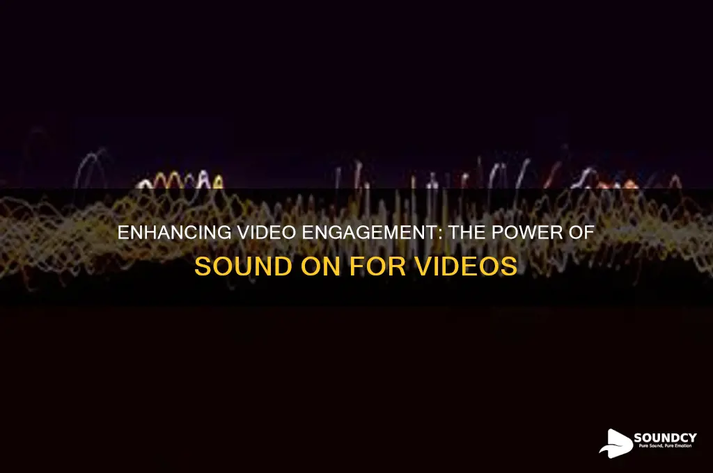 how is sound on for vidos