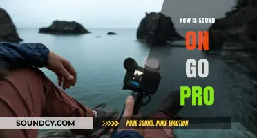 Exploring GoPro's Audio Quality: Capturing Clear Sound in Action Shots