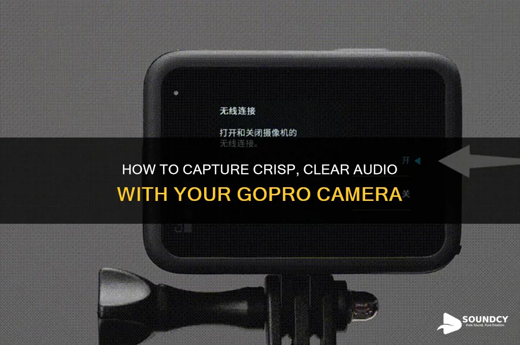 how is sound on gopro
