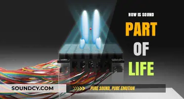 Sound Waves: The Unseen Force Shaping Our Daily Lives