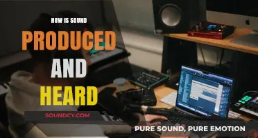 Unveiling the Science: How Sound is Produced and Heard