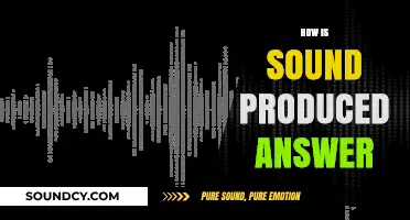 Understanding Sound Production: How Vibrations Create the Sounds We Hear