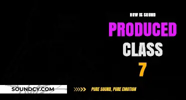 Understanding Sound Production: A Simple Guide for Class 7 Students