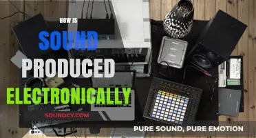 Exploring Electronic Sound Production: From Circuits to Speakers