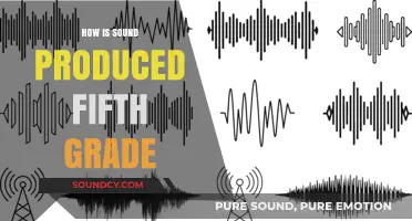 How Sound is Produced: A Fifth Grader's Guide to Vibrations