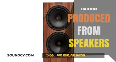 Understanding Speaker Mechanics: How Sound Waves Are Produced and Amplified