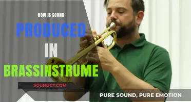 Unveiling Brass Instrument Sound Production: Vibrations, Resonance, and Technique