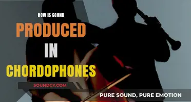 Understanding Sound Production in Chordophones: Strings, Vibrations, and Resonance
