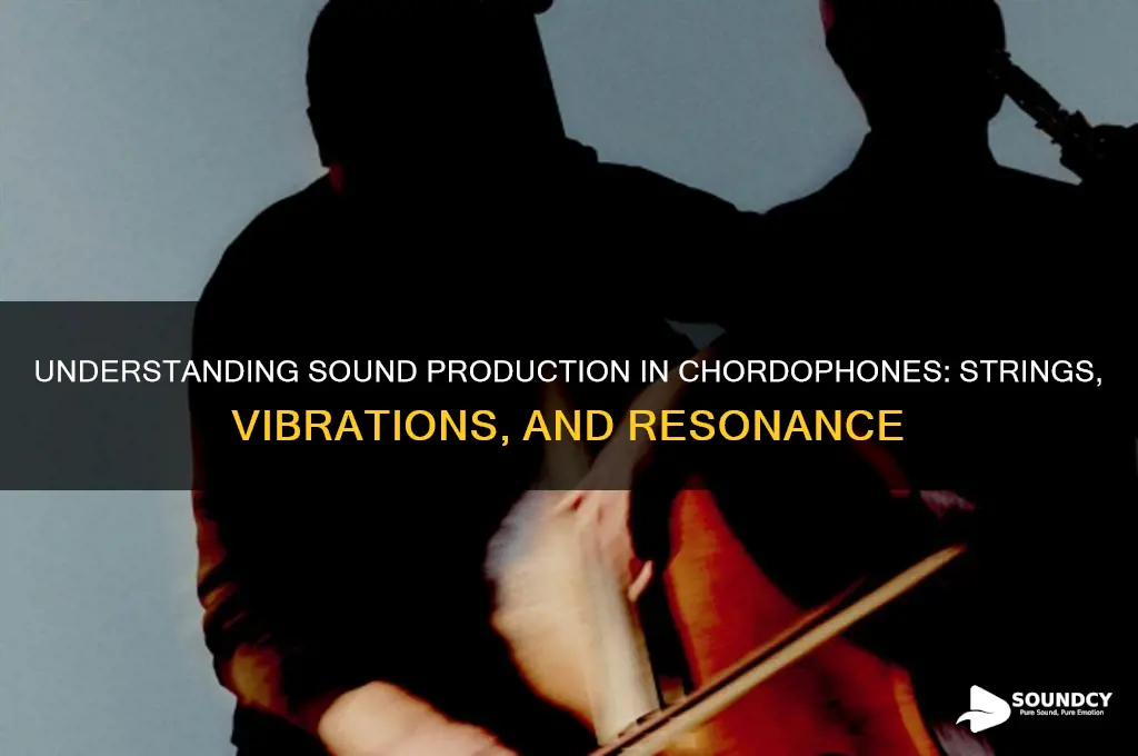 how is sound produced in chordophones