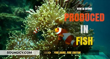 Unveiling the Aquatic Symphony: How Fish Produce Sound Underwater