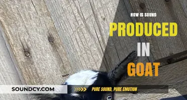 Understanding Goat Vocalizations: How Do Goats Produce Unique Sounds?