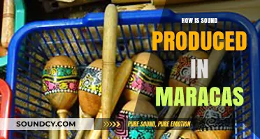 How Maracas Create Rhythm: The Science of Sound Production