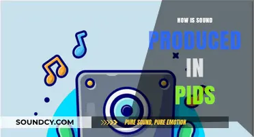 Unveiling the Science Behind Sound Production in Pids
