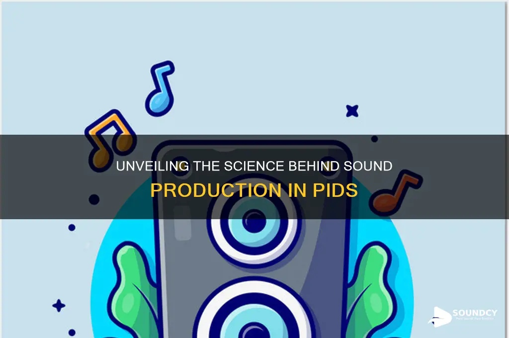 how is sound produced in pids