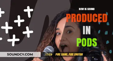 Unveiling the Science: How Sound is Produced in Pods