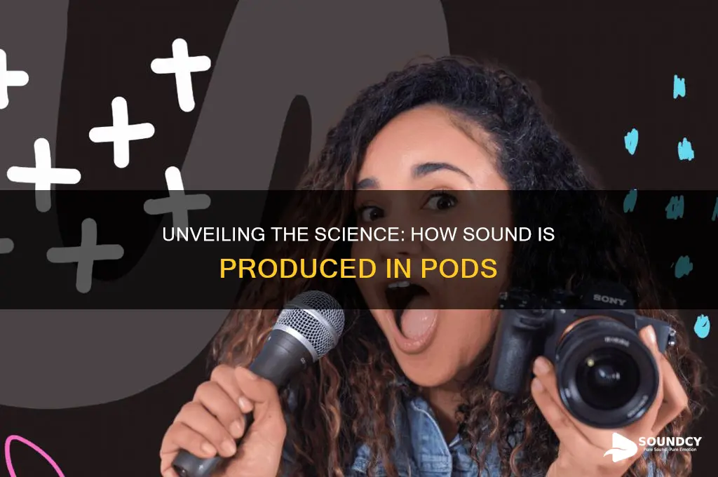 how is sound produced in pods