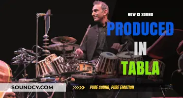 Understanding Tabla Sound Production: Techniques and Mechanics Explained