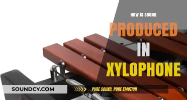 The Science Behind Xylophone Sound Production: A Vibrant Exploration