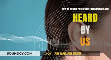 Exploring Sound: Production, Transmission, and Human Hearing Process
