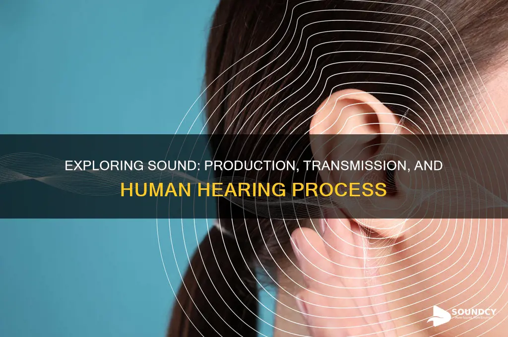 how is sound produced transmitted and heard by us