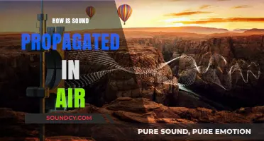 Understanding Sound Propagation: How Air Transmits Waves and Creates Hearing