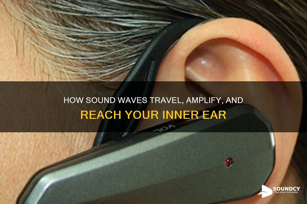 how is sound received in the ear and amplified
