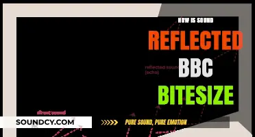 Understanding Sound Reflection: BBC Bitesize Explains Echo Principles