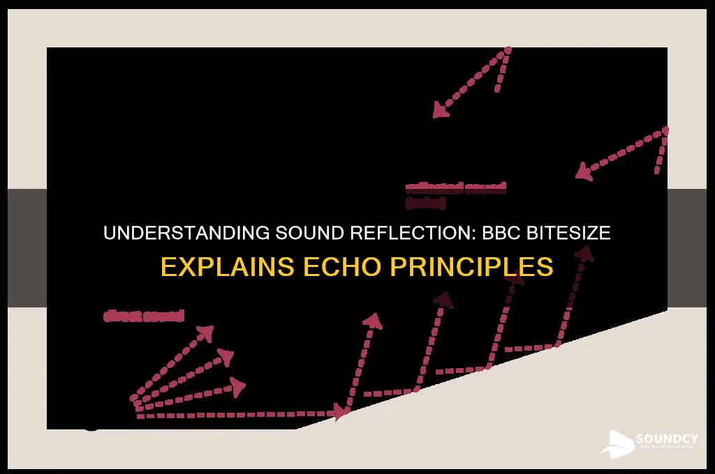 how is sound reflected bbc bitesize