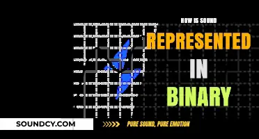Decoding Sound: Understanding Binary Representation of Audio Signals