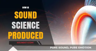 Unveiling the Rigorous Process Behind Producing Sound Science